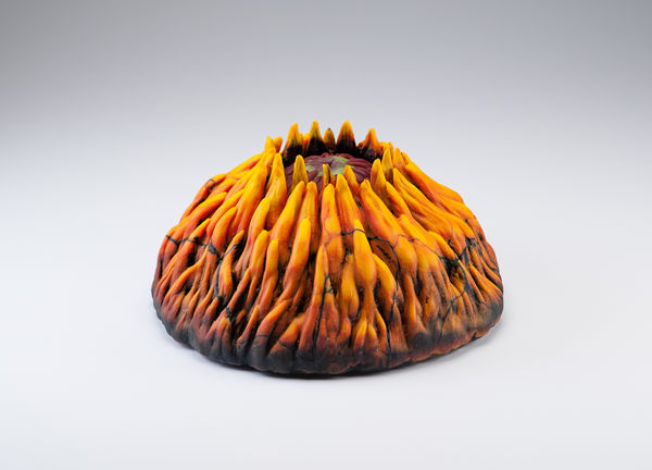 Dan Scott, Conflagrant, 2017