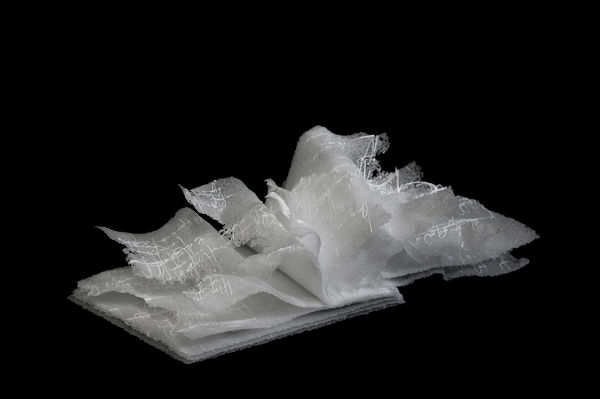 Anne Petters, Book of the Sea II, 2019