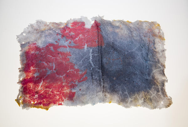 Susan Harlan, Fragment of Hope, 2016