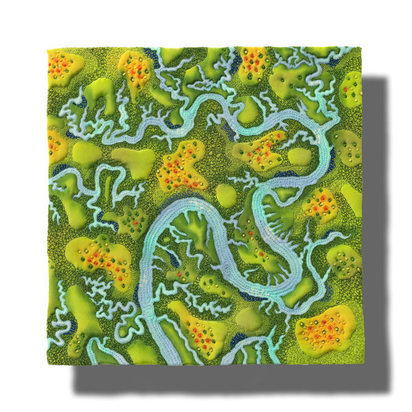 Linda Gass, Hard and Soft: Reseeding Wetlands, 2018