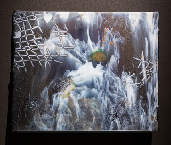 Susan Harlan, Murmuration VIII, 2016