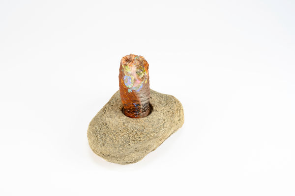 Lara Saget, Joshua Tree Inside, 2021