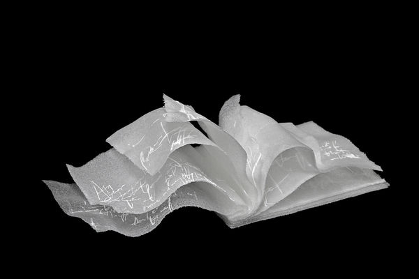 Anne Petters, Books of disquiet II_VII, 2017