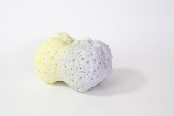 Joshua Kerley, Porifera I, 2023