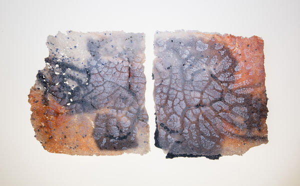 Susan Harlan, Fragment of History, 2016