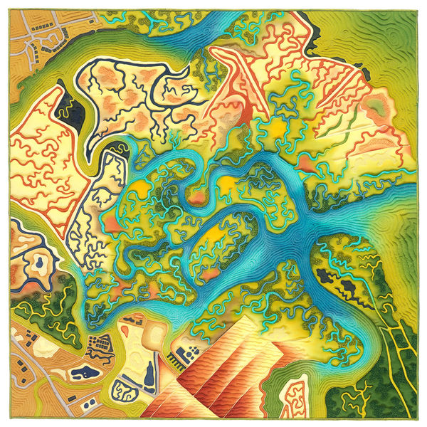 Linda Gass, Wetlands Take Over, 2013