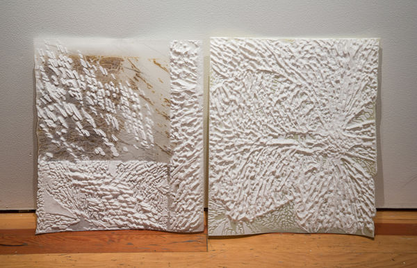 Susan Harlan, Congress of the World, Book I, Pages 1 & 2, 2016