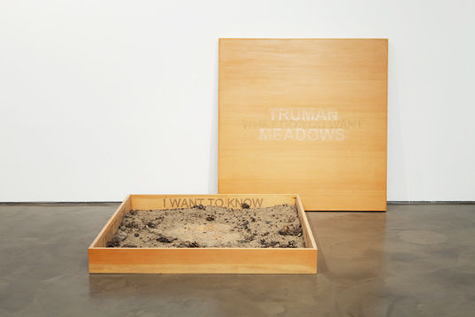 Robert Kinmont, Truman Meadows, 2009 - 2011