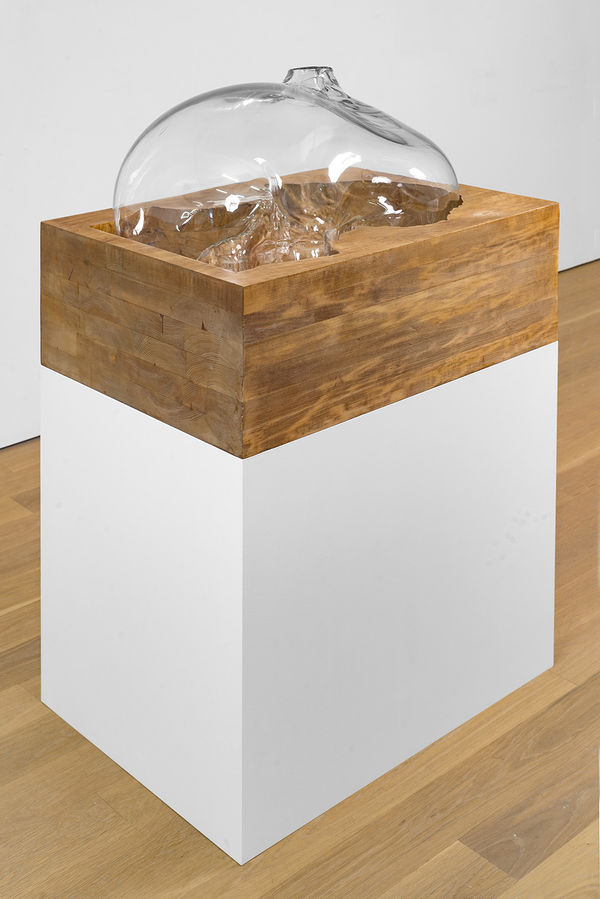 Titus Kaphar, Cast in Doubt, 2016