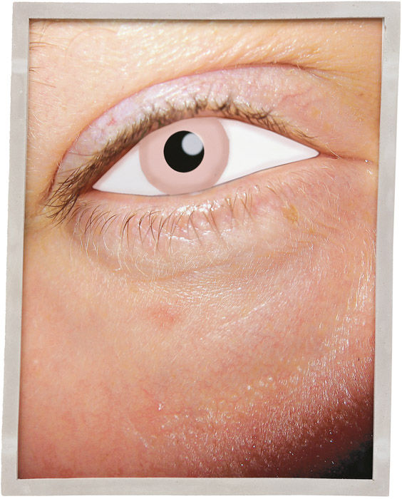 Urs Fischer, Tavernier Blue, Hope Diamond, The Heart of the Ocean, May Yohe & Putnam Strong, Zero Year Cursee, 2006