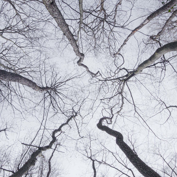 Nadia Kaabi-Linke, Bud'mo, 2023