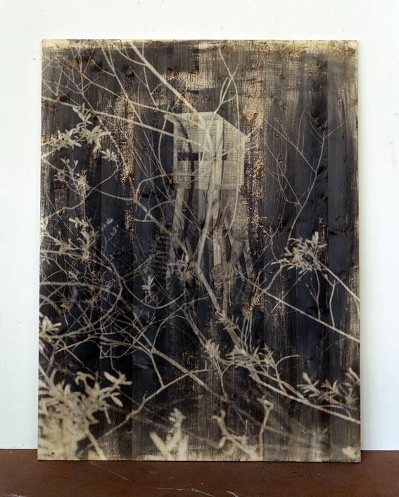 Lukas Wassmann, Hide, 2008