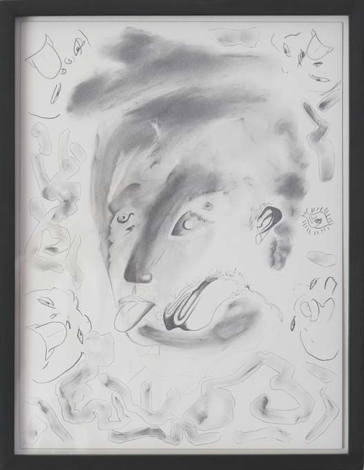 Dennis Scholl, Gefährdete Natur / Meine fünf Brüder / Kiwi / Kord / Sohn von Phoibos / Bläschen / Portrait, 2008