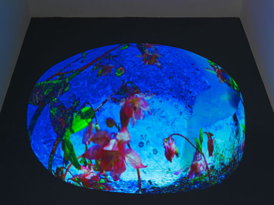 Pipilotti Rist, Sole, 2016