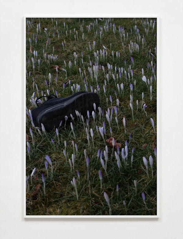 Paul Hutchinson, untitled (bottom ground), 2021