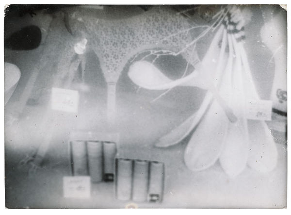 Miroslav Tichy, Untitled, appr. 1950s - 1980s