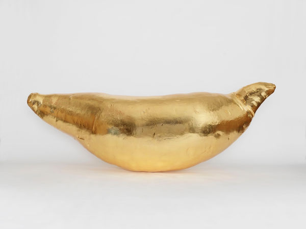 Iván Argote, Sweet Potato, 2017