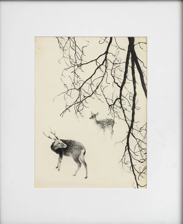 Lang Jinshang, Wherever You Go I Go, 1960ies