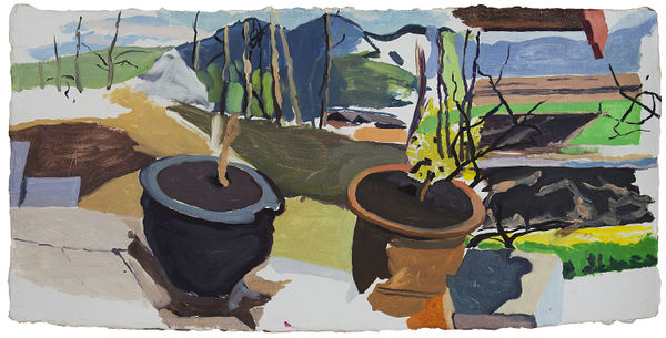 Dan Talbot, Two Pots on Jay's Terrace, 2013