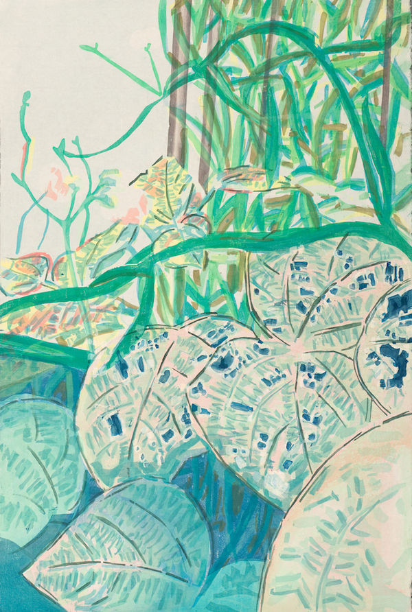 Stella Ebner, Pole Beans and Mexican Bean Beetle Damage, 2019