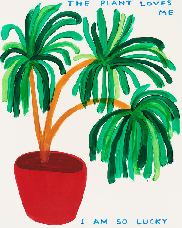 David Shrigley, The Plant Loves Me, 2023
