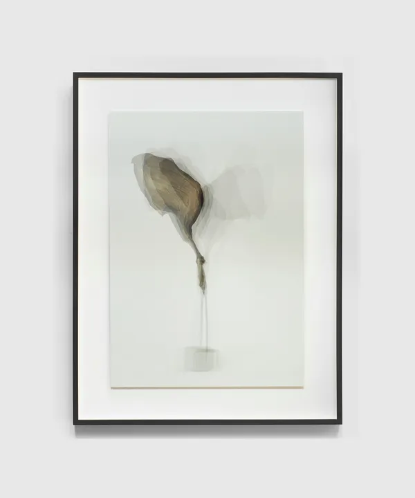 Tré Mkhabela, Light Banana Boi, 2021