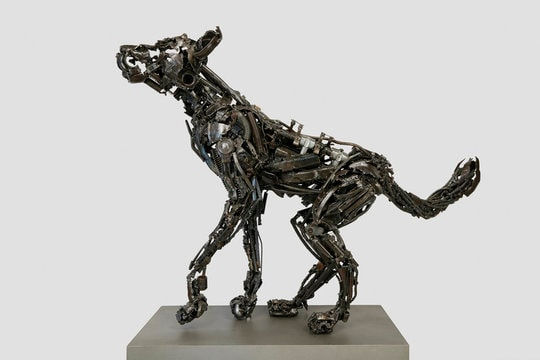 Roberto Vaccaro, African Stray I (Wild Dog), 2016