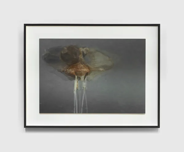 Tré Mkhabela, Banana Boi, 2021