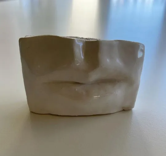 Colijn Strydom, Lips, 2020