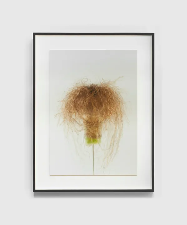 Tré Mkhabela, Watch how you speak on my name flat, 2021