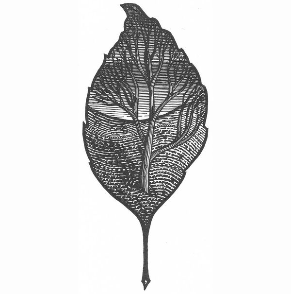 Jonathan Ashworth, The Whole Tree, 2016