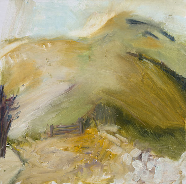 Juliet Robertson, The South Downs Way, 2016