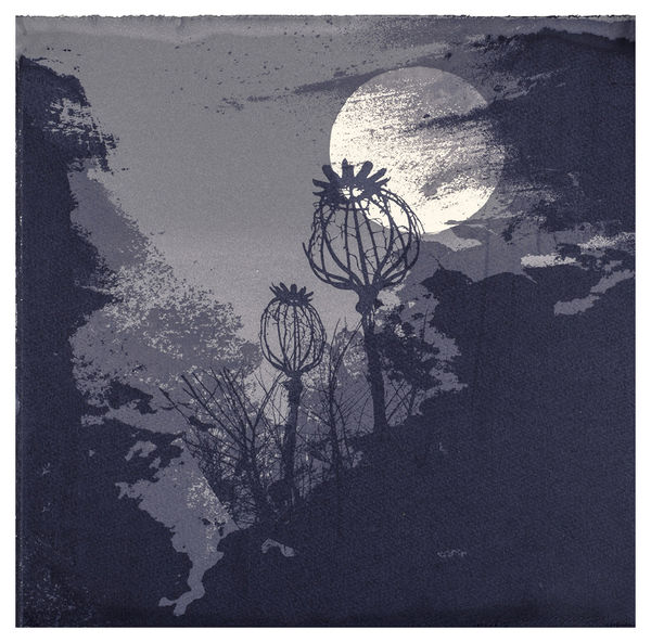 Chitra Merchant, Vestige II, 2015