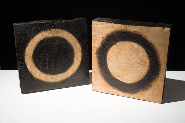 Lawrence Dicks, RING I & RING II, 2005