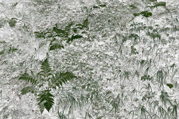 Maciej Urbanek, Volatile Matters VI