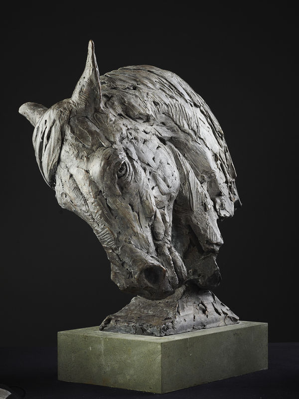 Hamish Mackie, Horse Head , 2015