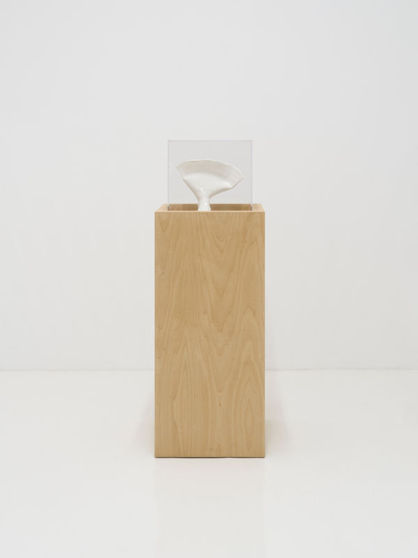 Miranda Fengyuan Zhang 张丰渊, FF003, 2025