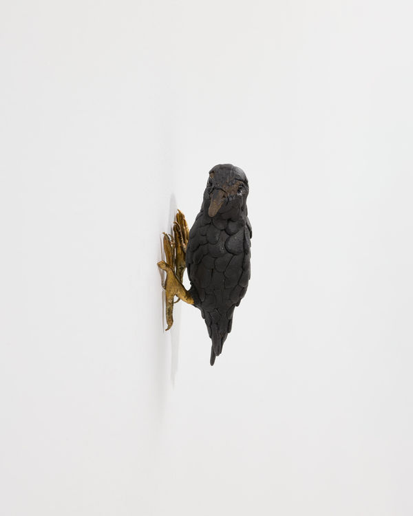 Elizabeth Jaeger 伊丽莎白·耶格, Bird 鸟, 2024
