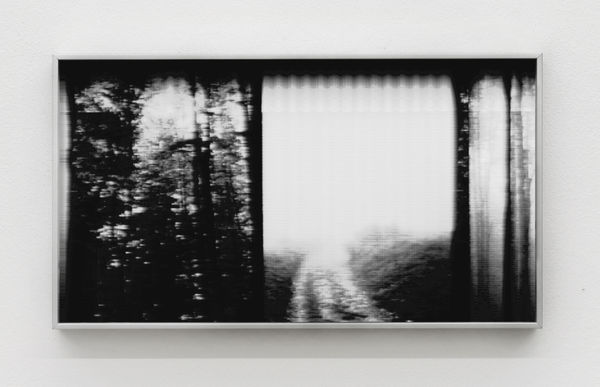 Luca Campestri 卢卡·坎佩斯特里, Specters 幽灵, 2022