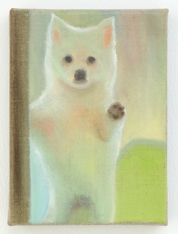 Tao Siqi 陶斯祺, Puppy 小狗, 2021