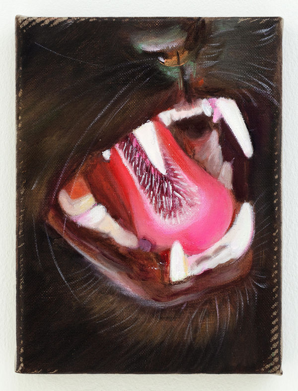 Tao Siqi 陶斯祺, Yawn 哈欠 , 2021