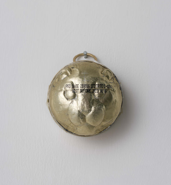 Tian Jianxin 田建新, San'er 三儿, 2021