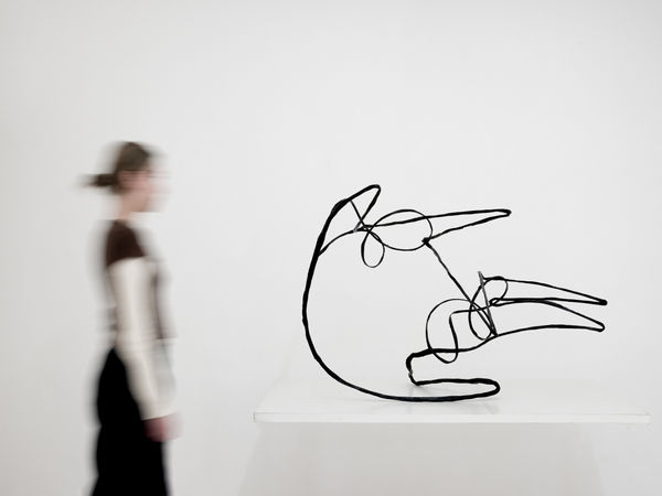 Feng Chen 冯晨, Oio, 2023