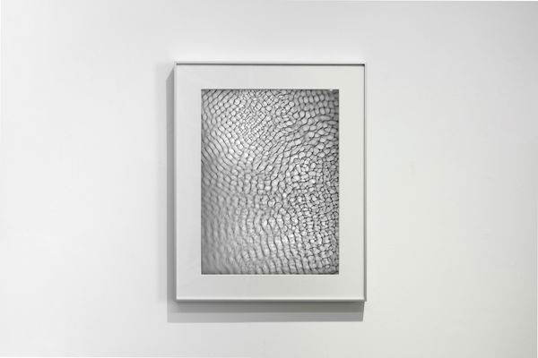 Feng Chen 冯晨, Between 20hz-30hz (03) 赫兹 20hz-30hz之间 (03), 2019