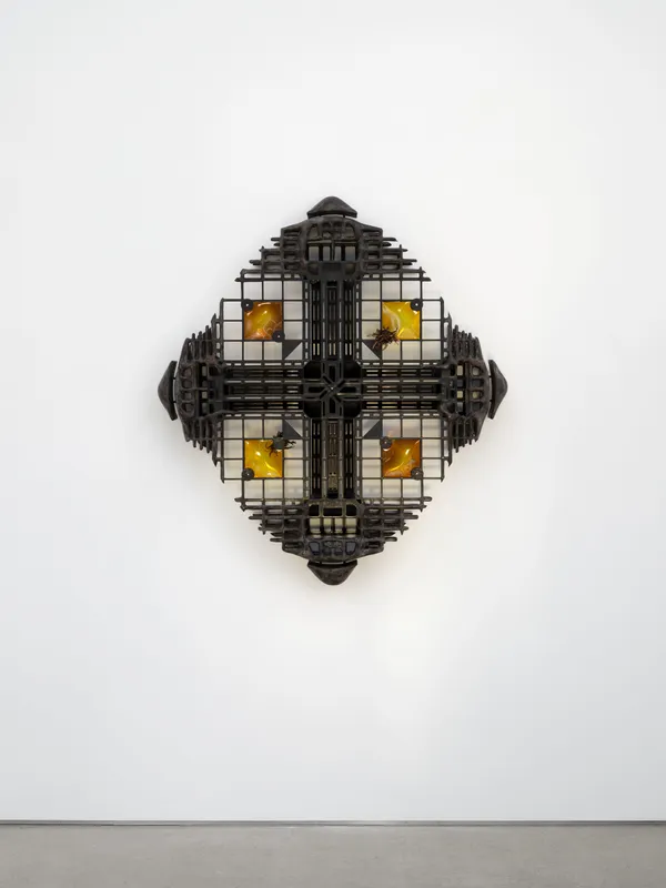 Leelee Chan 陳麗同, Cambium Wanderer 树层漫游者, 2024