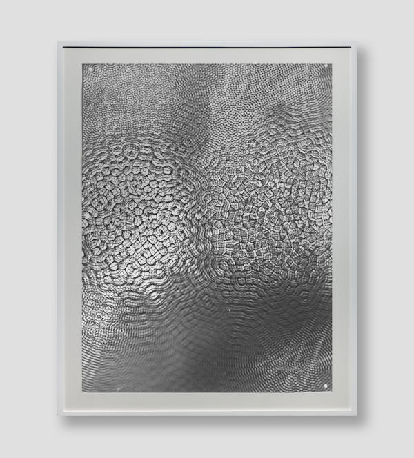 Feng Chen 冯晨, 31Hz 31赫兹, 2018