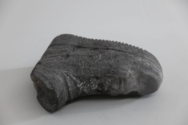 João Vasco Paiva, The Last Kauai Oo Bird I 最后一只夏威夷考艾岛的吸蜜鸟 I, 2017