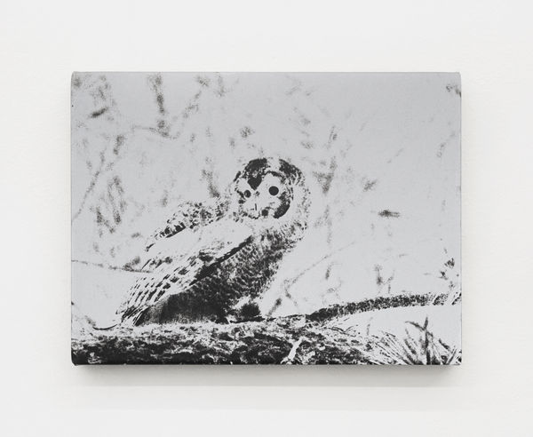 Luca Campestri 卢卡·坎佩斯特里, The dreamer slept but did not dream 梦者沉睡却未曾做梦, 2025