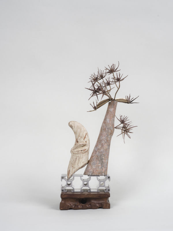 Leelee Chan 陳麗同, Desert Crest 沙漠山稜, 2021