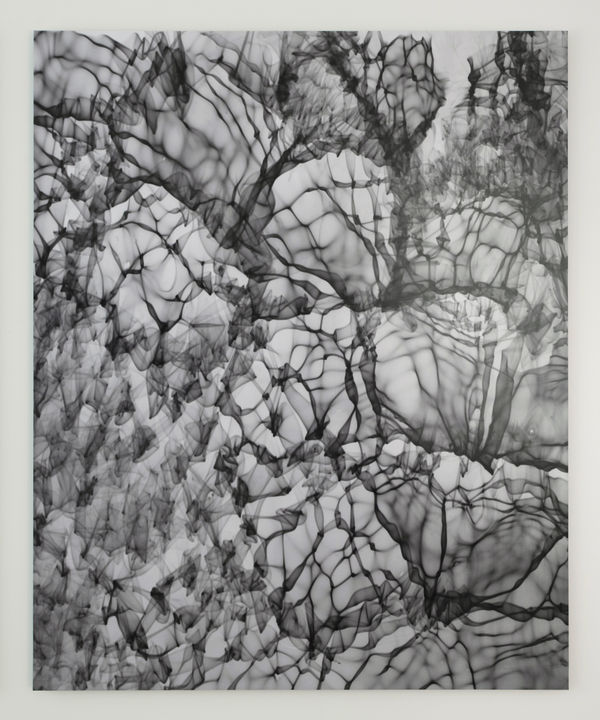 Feng Chen 冯晨, Between 20hz-30hz (10) 赫兹 20hz-30hz之间 (10), 2019